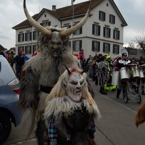 Umzug Oetwil am See